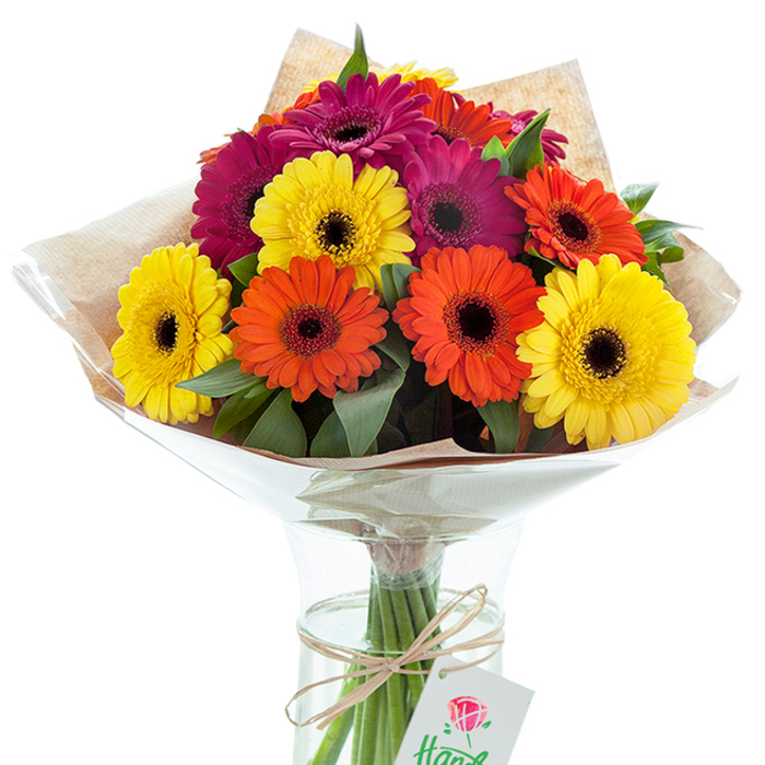 Against a backdrop of crisp white, this vibrant Gerbera daisy bouquet radiates positivity and heartfelt cheer, as if capturing the inviting atmosphere of Kingsbury itself. Approximately a dozen Gerberas, their petals painted in saturated yellows, bold oranges, and captivating magentas, are arranged for maximum fullness and visual impact. Dark, striking centers form a lively focal point within each bloom, magnified by the surrounding layer of deep green, textural leaves. A softly ribbed layer of kraft paper, tastefully rustic, enfolds the bouquet's upper portion, protected further by a clear, glossy cellophane casing that adds a contemporary sheen. Displayed proudly in a classic hourglass-shaped glass vase, the arrangement's fresh, robust stems-secured with a neat twine tie-are plainly visible, emphasizing the bouquet's freshness. A delicate white tag with a simple red rose emblem graces the twine, hinting at a personal touch or a custom Kingsbury flower delivery. Every element, from the harmonious colour blend to the artisanal wrapping, speaks to the skill of local florists, offering a beautiful option for milestone gatherings, home décor, or acts of kindness across the community.